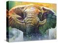 Stretched Canvas