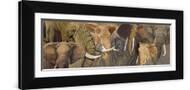 Brown Frame