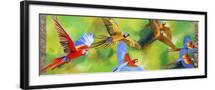 Black Frame