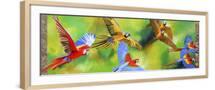 Brown Frame