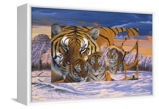 Stretched Canvas Print, , large