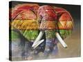 Stretched Canvas