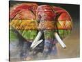 Stretched Canvas