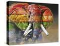 Stretched Canvas