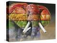 Stretched Canvas