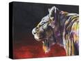 Stretched Canvas