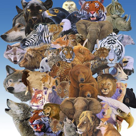 Art Print, , large