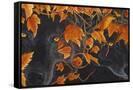 Canvas Black