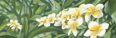 Yellow Bloom-Graeme Stevenson-Giclee Print