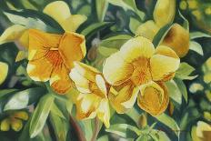 Yellow Bloom-Graeme Stevenson-Giclee Print