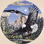 Laminate
