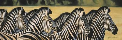 Zebras-Graeme Stevenson-Giclee Print