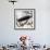 Graf Zeppelin-null-Framed Giclee Print displayed on a wall