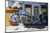 Graffiti Art Work on Houses in Lapa, Rio De Janeiro, Brazil, South America-Michael Runkel-Mounted Photographic Print
