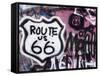 Graffiti Covered Gas Station, Route 66, Amboy, California, United States of America, North America-Richard Cummins-Framed Stretched Canvas