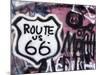 Graffiti Covered Gas Station, Route 66, Amboy, California, United States of America, North America-Richard Cummins-Mounted Photographic Print