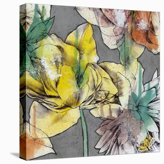 Graffiti Flowers III-Jennifer Goldberger-Stretched Canvas