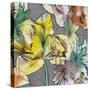 Graffiti Flowers III-Jennifer Goldberger-Stretched Canvas