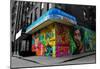 Graffiti on storefronts in NYC-null-Mounted Poster