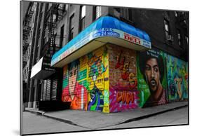 Graffiti on storefronts in NYC-null-Mounted Poster