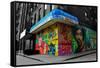 Graffiti on storefronts in NYC-null-Framed Stretched Canvas