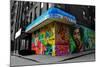 Graffiti on storefronts in NYC-null-Mounted Photo