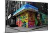 Graffiti on storefronts in NYC-null-Mounted Photo