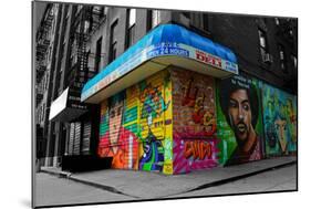 Graffiti on storefronts in NYC-null-Mounted Photo