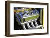 Graffiti Show-bfoxfoto-Framed Photographic Print