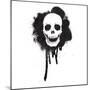 Graffiti Spray Paint Stencil Skull-lineartestpilot-Mounted Photographic Print