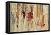 Graffiti Wall I Spice-Silvia Vassileva-Framed Stretched Canvas