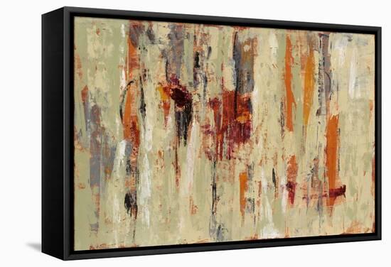 Graffiti Wall I Spice-Silvia Vassileva-Framed Stretched Canvas