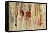 Graffiti Wall I Spice-Silvia Vassileva-Framed Stretched Canvas