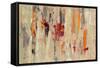 Graffiti Wall I-Silvia Vassileva-Framed Stretched Canvas