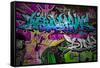 Graffiti Wall Urban Art-SergWSQ-Framed Stretched Canvas