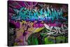 Graffiti Wall Urban Art-SergWSQ-Stretched Canvas