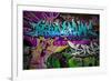 Graffiti Wall Urban Art-SergWSQ-Framed Premium Giclee Print