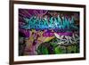 Graffiti Wall Urban Art-SergWSQ-Framed Premium Giclee Print