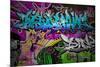 Graffiti Wall Urban Art-SergWSQ-Mounted Premium Giclee Print