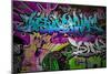 Graffiti Wall Urban Art-SergWSQ-Mounted Art Print