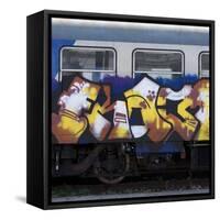Grafitti on Train Carriage, Pisa, Italy-Mike Burton-Framed Stretched Canvas