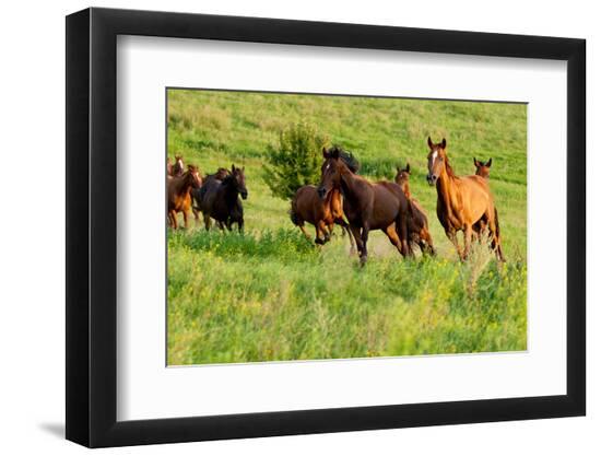 Premium Photographic Print, , large