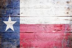 Flag Of The State Of Texas-grafvision-Art Print