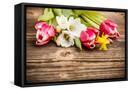 Framed Canvas