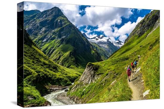 Stretched Canvas Print, , large