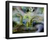 Gragon's Leg-RUNA-Framed Giclee Print