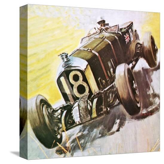 Stretched Canvas Print, , large