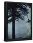 Essential Black