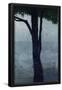 Essential Black