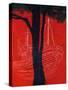 Stretched Canvas